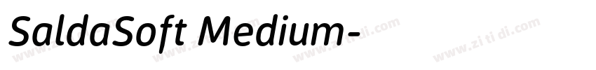 SaldaSoft Medium字体转换